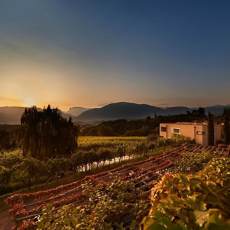 Weingut Stuck Apartment Appiano Sulla Strada Del Vino Exterior foto