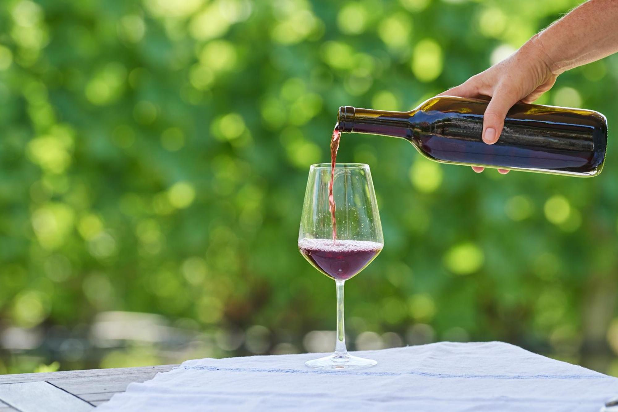 Weingut Stuck Apartment Appiano Sulla Strada Del Vino Exterior foto