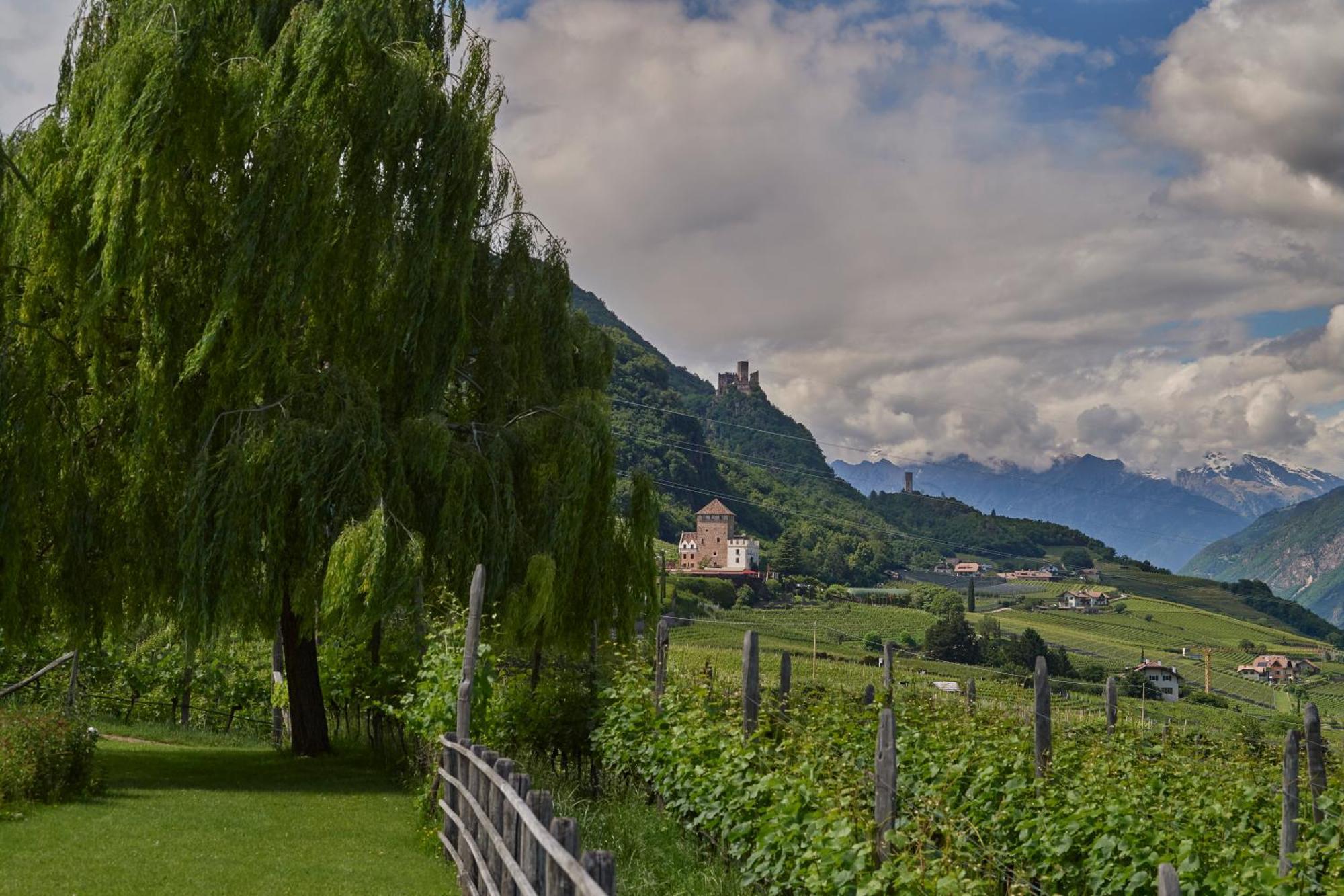Weingut Stuck Apartment Appiano Sulla Strada Del Vino Exterior foto