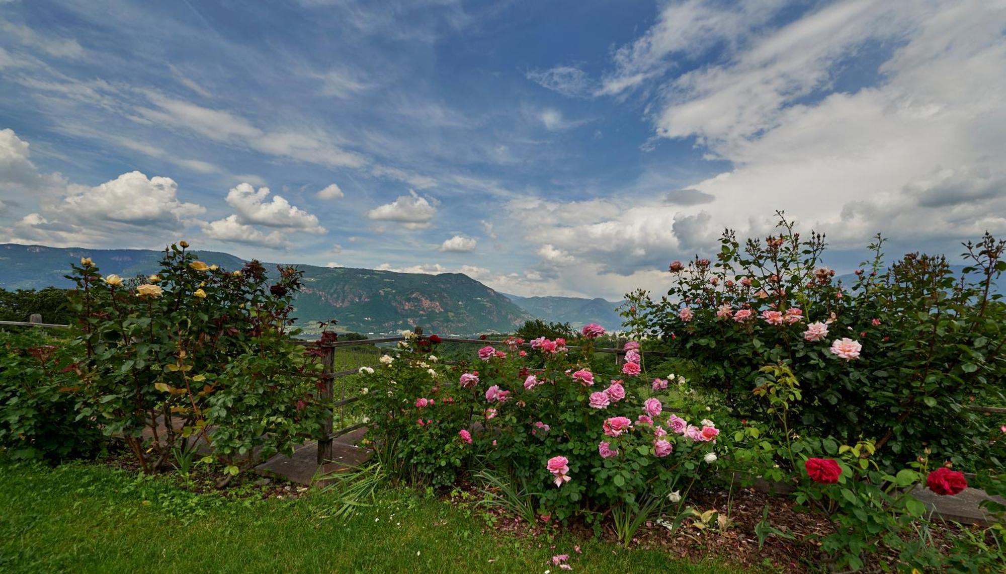 Weingut Stuck Apartment Appiano Sulla Strada Del Vino Exterior foto