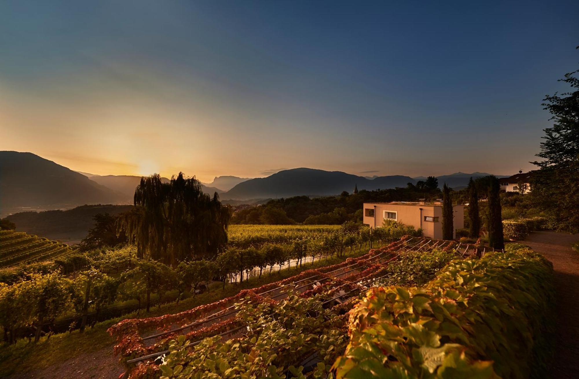 Weingut Stuck Apartment Appiano Sulla Strada Del Vino Exterior foto