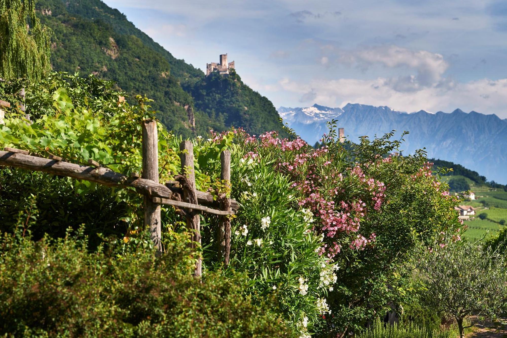 Weingut Stuck Apartment Appiano Sulla Strada Del Vino Exterior foto
